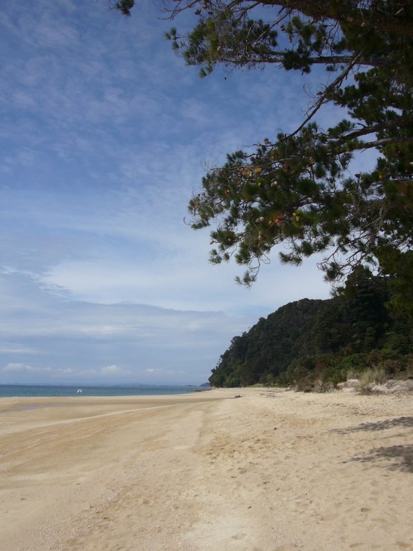 Travel - New Zealand - Abel Tasman National Park
